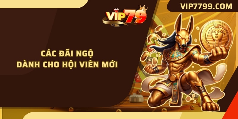 Các đãi ngộ dành cho hội viên mới
