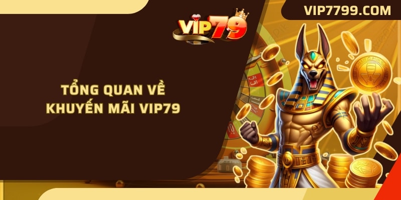 Tổng quan về khuyến mãi VIP79